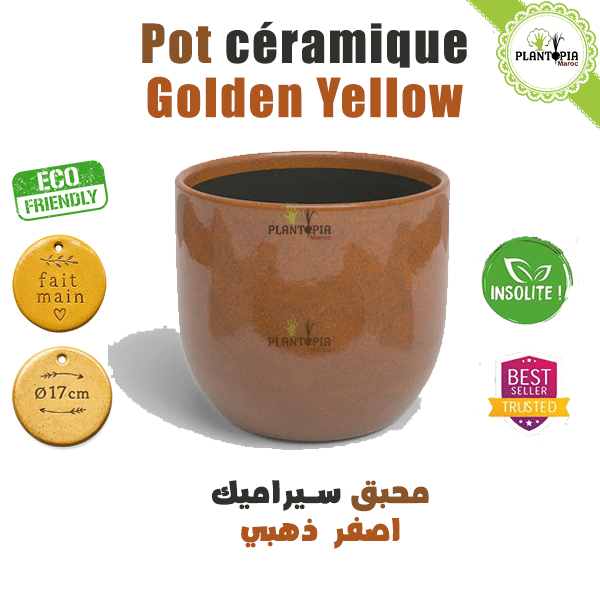 Pot ceramique fait main 17 cm golden yellow - Pot desiign - Plantopia Maroc Pot ceramique fait main 17 cm golden yellow - Pot desiign - Plantopia Maroc