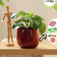 Pot elegant ceramique fait main golden yellow pour deco intérieur et plantes en vente par Plantopia Maroc