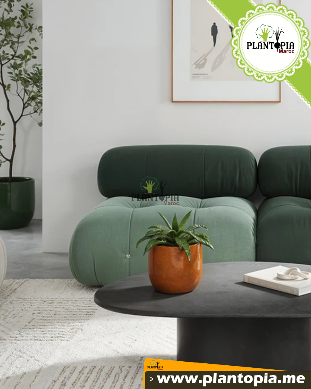 Pot elegant ceramique fait main pour deco intérieur et plantes chez Plantopia Casablanca Rabat Tanger Marrakech Pot elegant ceramique fait main pour deco intérieur et plantes chez Plantopia Casablanca Rabat Tanger Marrakech