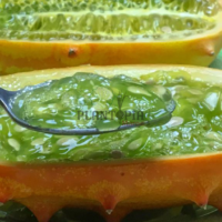 Vente en ligne de graines et semences de Kiwano cornu d afrique par Plantopia Agadir Oujda dakhla safi sale