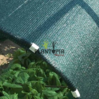filet tisse pour ombrage 90% protection des plantes chez Plantopia Agadir Rabat Marrakech Casablanca Tanger