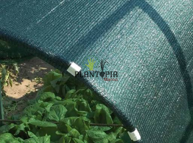 filet tisse pour ombrage 90% protection des plantes chez Plantopia Agadir Rabat Marrakech Casablanca Tanger filet tisse pour ombrage 90% protection des plantes chez Plantopia Agadir Rabat Marrakech Casablanca Tanger