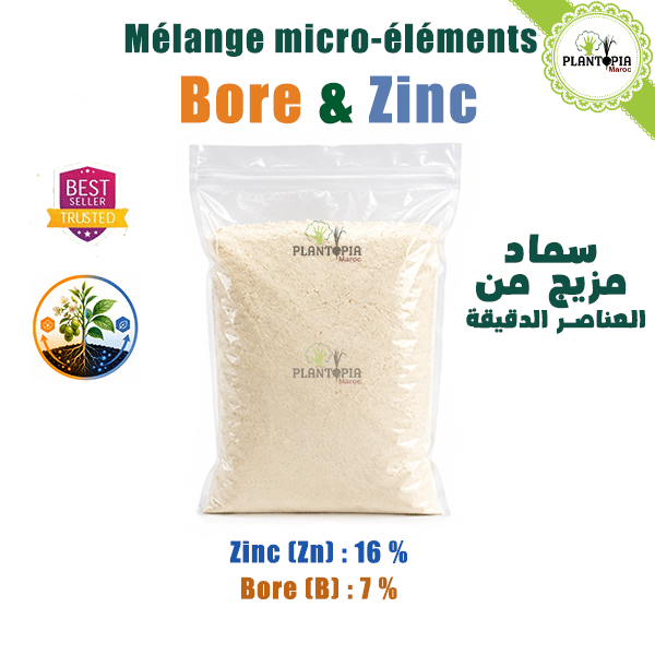 Engrais Booster Mélange micro éléments Bore et Zinc pour plantes - Plantopia Maroc Engrais Booster Mélange micro éléments Bore et Zinc pour plantes - Plantopia Maroc