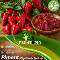sachets de graines et semences potageres et paysannes de piment Piquillo de Lodosa - Plantopia Maroc