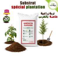 Substrat spécial plantation - 20L