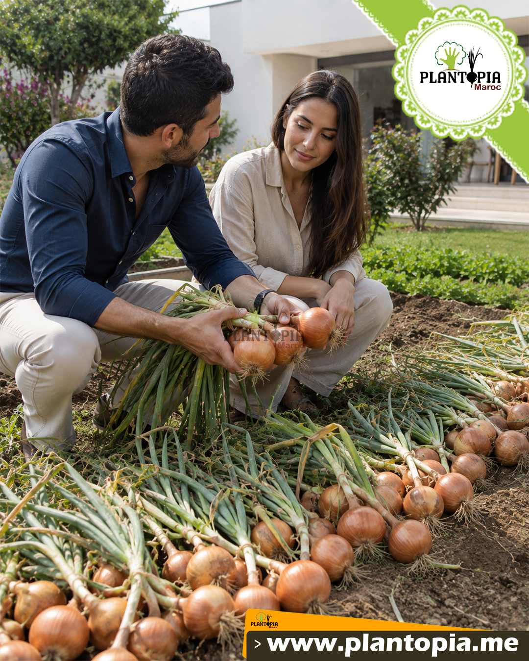 acheter sachets de graines et semences d'oignon Gence en vente par Plantopia Casablanca Rabat Tanger sale acheter sachets de graines et semences d'oignon Gence en vente par Plantopia Casablanca Rabat Tanger sale