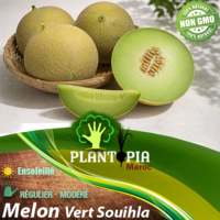 sachets de graines et semences de Melon vert Souihla - Plantopia Maroc