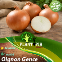 sachets de graines et semences de l'oignon brun variété turque et ancienne Gence - Plantopia Maroc
