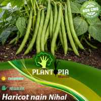 sachets de graines et semences d'haricot nain Bush variété Nihal turque - Plantopia Maroc