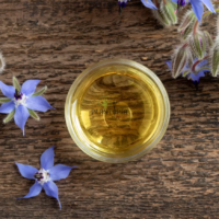 sachets de semences de Bourrache Officinale Sélection italienne chez Plantopia Maroc