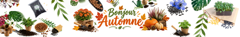 Bannière mobile