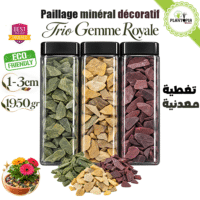 Pack de pierres ardoises décoratives colorées en petit calibre Gemme Royale - Plantopia Maroc