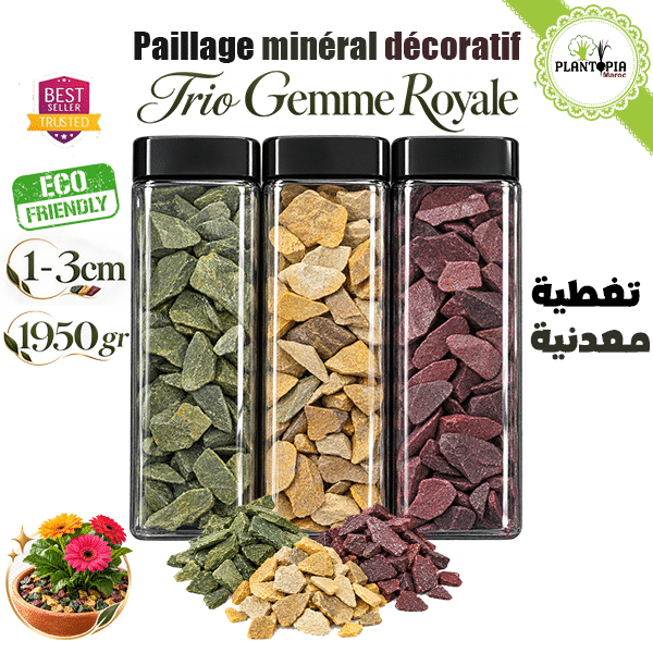 Pack de pierres ardoises décoratives colorées en petit calibre Gemme Royale - Plantopia Maroc Pack de pierres ardoises décoratives colorées en petit calibre Gemme Royale - Plantopia Maroc