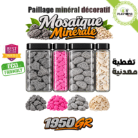 Pack pour paillage es plantes avec coquillage et galet et gravier et lave Mosaïque Minérale - Plantopia Maroc