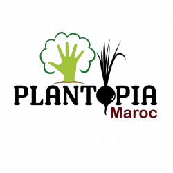 Logo Plantopia MAroc